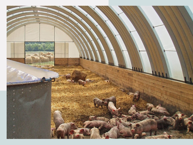 Строительство свинарников в Александрове