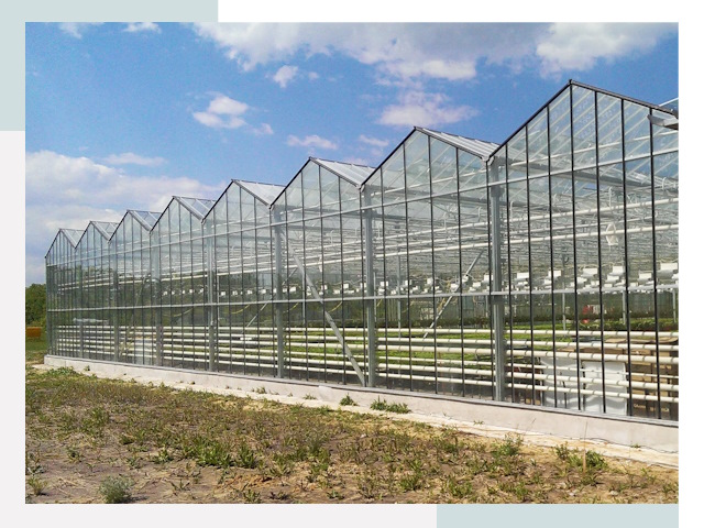 Строительство теплиц в Александров от 643 руб. за м²