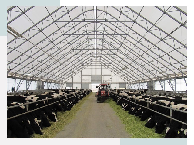 Тентовые коровники в Александрове от 643 руб. - Надежно и доступно